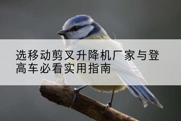 香坊电动升降机厂家-选移动剪叉升降机厂家与登高车必看实用指南