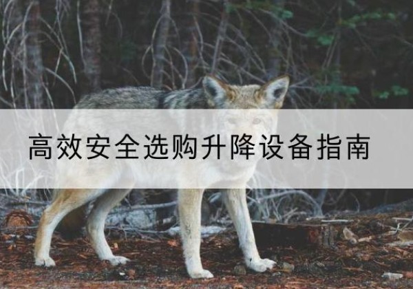 香坊升降货梯厂家推荐-*安全选购升降设备指南